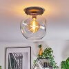 Ripoll ceiling light, globe light clear, 1-light source