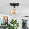 Ripoll ceiling light, globe light clear, 1-light source