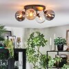 Gastor ceiling light, globe light Amber, clear, Smoke-coloured, 4-light sources