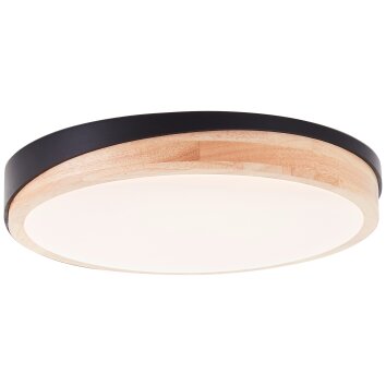 Brilliant lights Baarlo ceiling light LED black, 1-light source