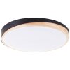 Brilliant lights Baarlo ceiling light LED black, 1-light source, Remote control