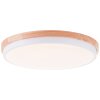 Brilliant lights Baarlo ceiling light LED white, 1-light source