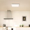 Brilliant lights Briston ceiling light LED white, 1-light source