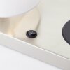 Brilliant lights Clarie table lamp silver, 1-light source