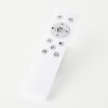Brilliant lights Kieran ceiling light LED white, 1-light source, Remote control