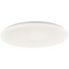 Brilliant lights Kieran ceiling light LED white, 1-light source, Remote control
