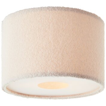 Brilliant lights Teddy ceiling light white, 2-light sources