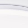 Brilliant lights Troba ceiling light LED white, 1-light source, Remote control