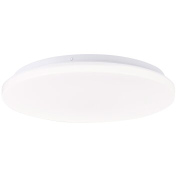 Brilliant lights Troba ceiling light LED white, 1-light source, Remote control