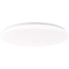 Brilliant lights Troba ceiling light LED white, 1-light source, Remote control