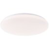 Brilliant lights Troba ceiling light LED white, 1-light source, Remote control