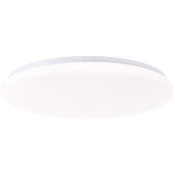 Brilliant lights Troba ceiling light LED white, 1-light source, Remote control