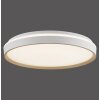 Paul Neuhaus lights MIO ceiling light LED sand-coloured, 1-light source, Remote control