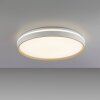 Paul Neuhaus lights MIO ceiling light LED sand-coloured, 1-light source, Remote control