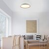 Paul Neuhaus lights MIO ceiling light LED sand-coloured, 1-light source, Remote control