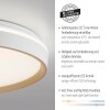 Paul Neuhaus lights MIO ceiling light LED sand-coloured, 1-light source, Remote control