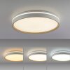 Paul Neuhaus lights MIO ceiling light LED sand-coloured, 1-light source, Remote control