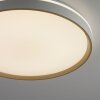 Paul Neuhaus lights MIO ceiling light LED sand-coloured, 1-light source, Remote control