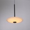 Paul Neuhaus lights ELIPSA pendant light LED black, 1-light source