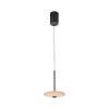 Paul Neuhaus lights ELIPSA pendant light LED black, 1-light source