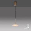 Paul Neuhaus lights ELIPSA pendant light LED bronze, 1-light source