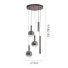 Paul Neuhaus lights BOWL pendant light LED brown, 5-light sources