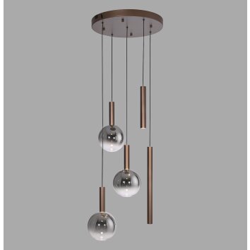 Paul Neuhaus lights BOWL pendant light LED brown, 5-light sources