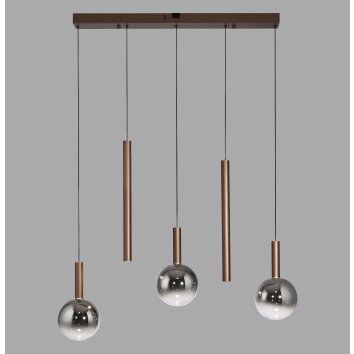 Paul Neuhaus lights BOWL pendant light LED brown, 5-light sources