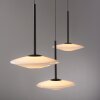 Paul Neuhaus lights ELIPSA pendant light LED black, 3-light sources
