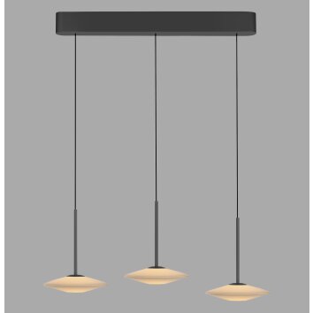 Paul Neuhaus lights ELIPSA pendant light LED black, 3-light sources