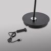 Paul Neuhaus lights BENTE floor lamp LED black, 1-light source