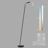 Paul Neuhaus lights BENTE floor lamp LED black, 1-light source