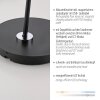 Paul Neuhaus lights BENTE floor lamp LED black, 1-light source