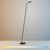 Paul Neuhaus lights BENTE floor lamp LED black, 1-light source