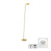 Paul Neuhaus lights BENTE floor lamp LED brass, 1-light source