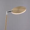 Paul Neuhaus lights BENTE floor lamp LED brass, 1-light source