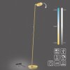 Paul Neuhaus lights BENTE floor lamp LED brass, 1-light source