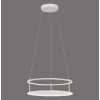 Paul Neuhaus lights CONTURA pendant light LED white, 2-light sources