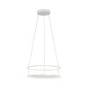 Paul Neuhaus lights CONTURA pendant light LED white, 2-light sources