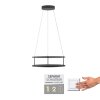 Paul Neuhaus lights CONNI pendant light LED black, 2-light sources