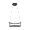 Paul Neuhaus lights CONNI pendant light LED black, 2-light sources