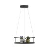 Paul Neuhaus lights CONTURA pendant light LED black, 2-light sources