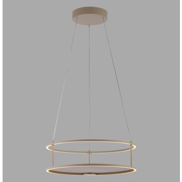 Paul Neuhaus lights CONTURA pendant light LED sand-coloured, 2-light sources