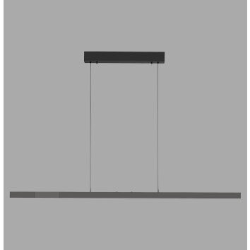 Paul Neuhaus lights Lift pendant light LED anthracite, 3-light sources