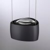 Paul Neuhaus Q-Serie Q-STRETTO pendant light LED black, 2-light sources, Remote control