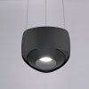 Paul Neuhaus Q-Serie Q-STRETTO pendant light LED black, 2-light sources, Remote control