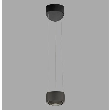 Paul Neuhaus Q-Serie Q-STRETTO pendant light LED black, 2-light sources, Remote control