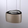 Paul Neuhaus Q-Serie Q-STRETTO pendant light LED bronze, 2-light sources, Remote control