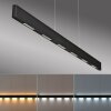 Paul Neuhaus Q-Serie Q-STRETTO pendant light LED black, 2-light sources, Remote control