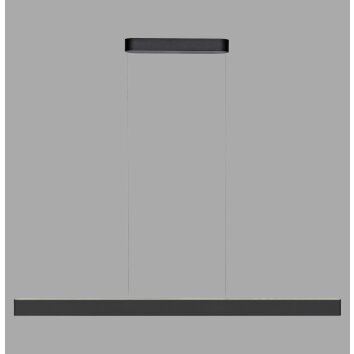 Paul Neuhaus Q-Serie Q-STRETTO pendant light LED black, 2-light sources, Remote control